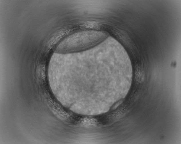 X0000115410403200912011345