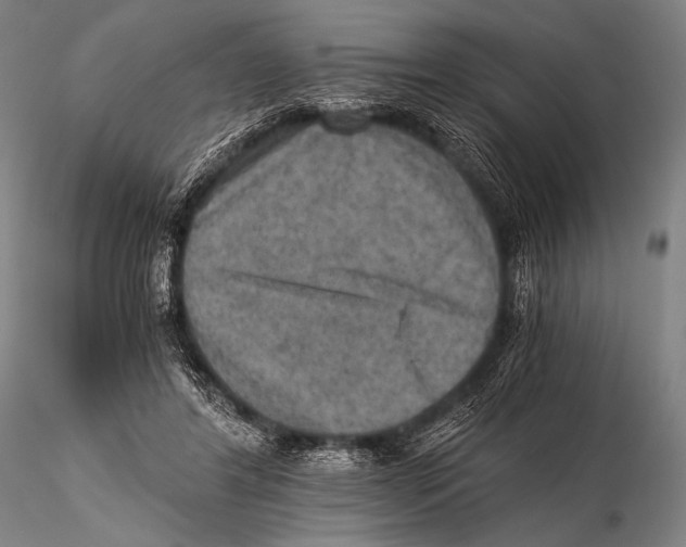 X0000115410404200912011345