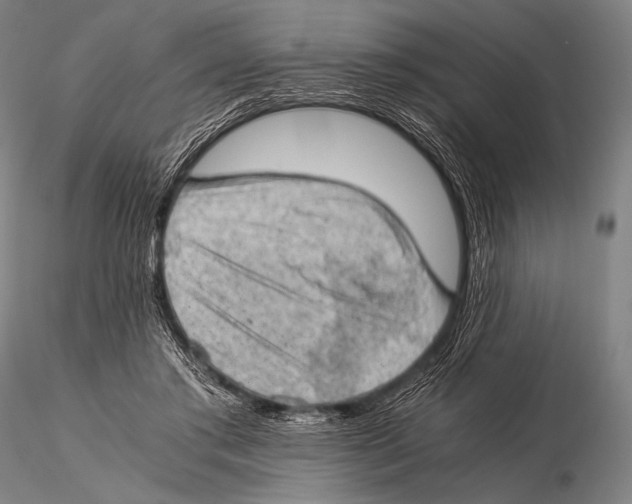 X0000115410405200912011345