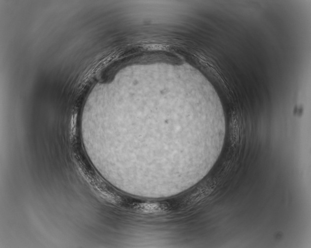 X0000115410406200912011345