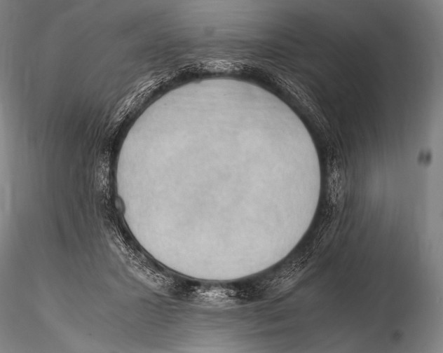 X0000115410407200912011345