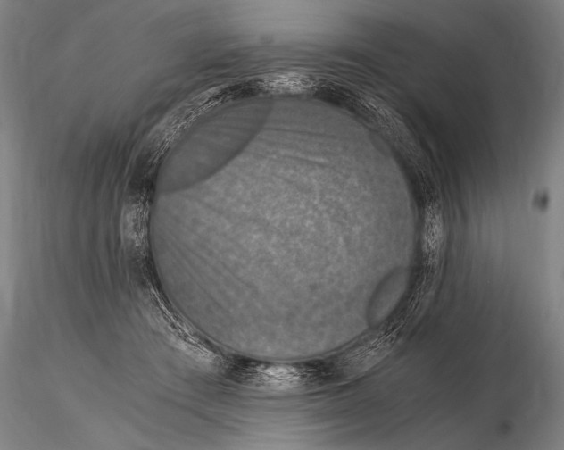 X0000115410409200912011345