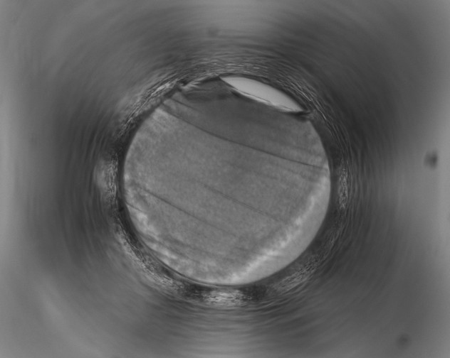 X0000115410410200912011345