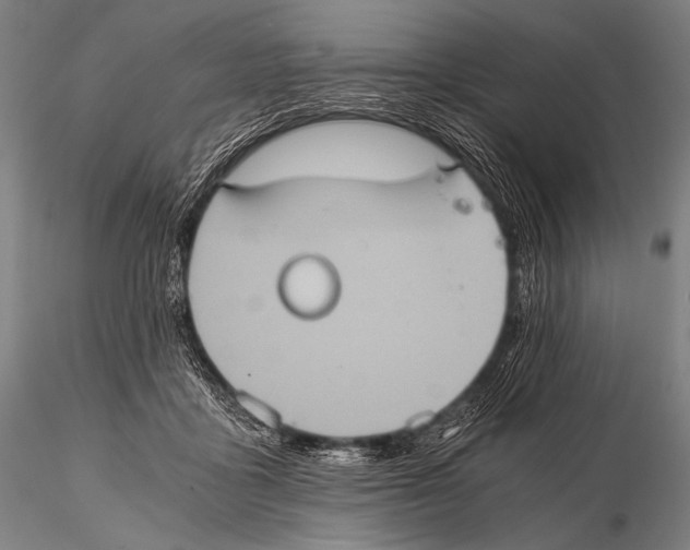 X0000115410411200912011345