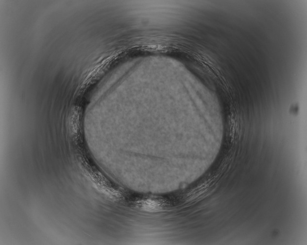 X0000115410412200912011345