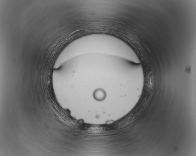 X0000115410413200912011345