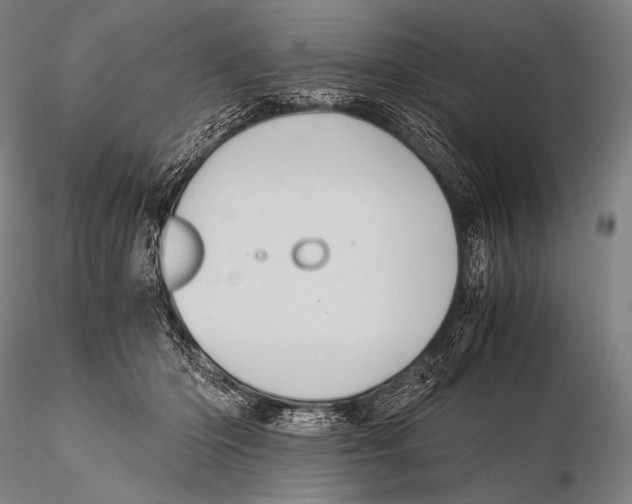 X0000115410414200912011345