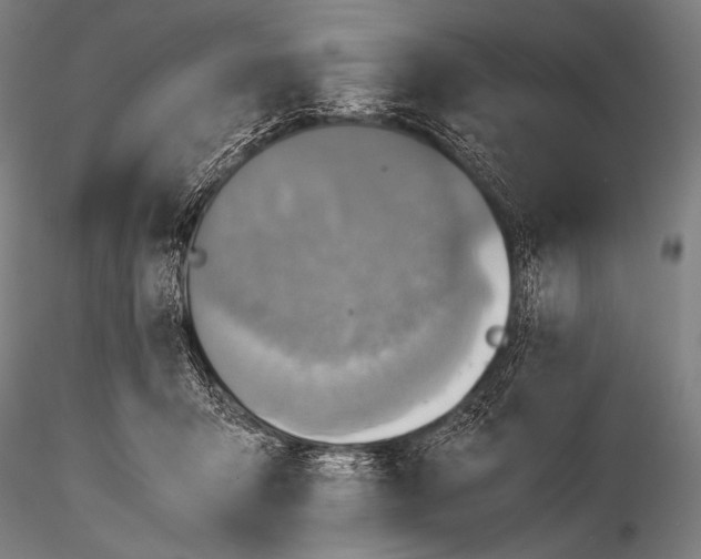 X0000115410415200912011345