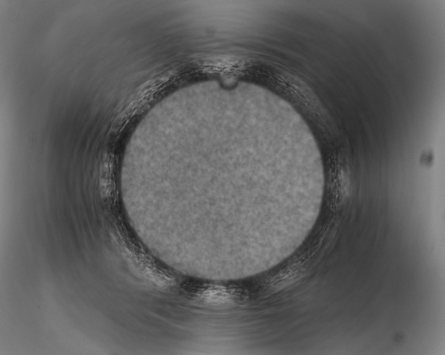 X0000115410416200912011344