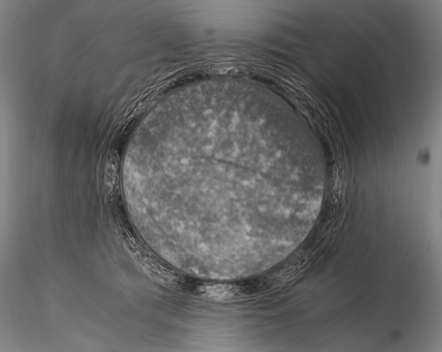 X0000115410417200912011344