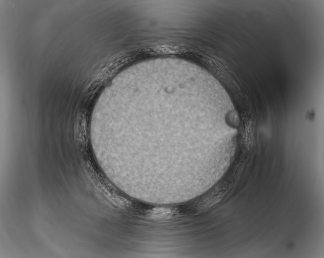 X0000115410418200912011344