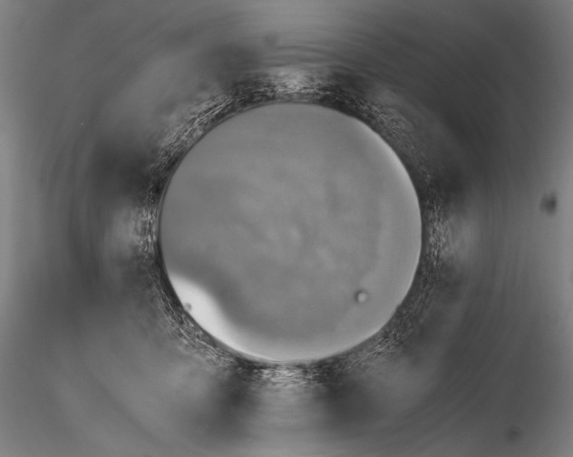 X0000115410419200912011344