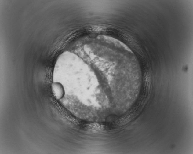 X0000115410421200912011344