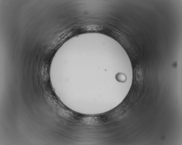 X0000115410422200912011344