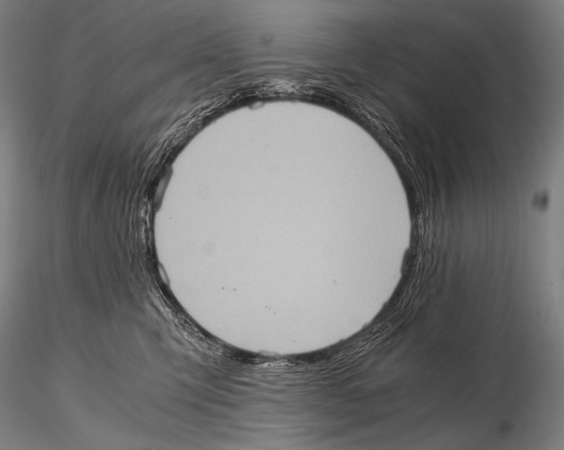 X0000115410423200912011344