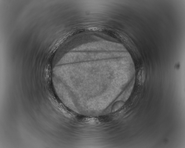 X0000115410424200912011344