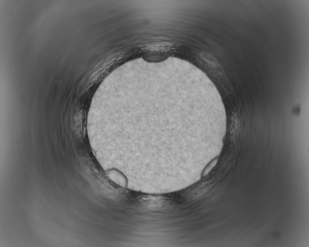 X0000115410428200912011344