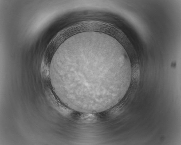 X0000115410431200912011344