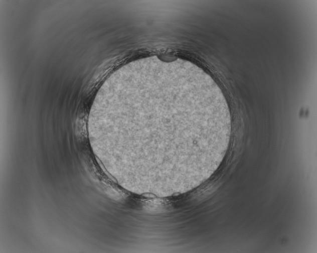 X0000115410432200912011344