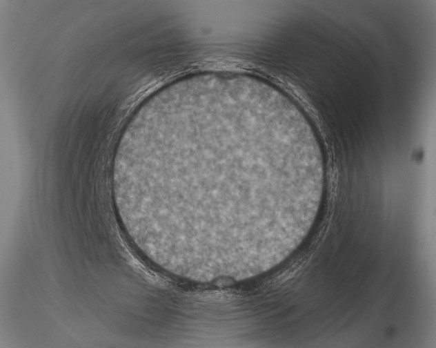 X0000115410433200912011344