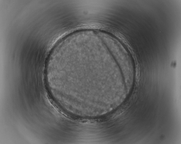 X0000115410434200912011344