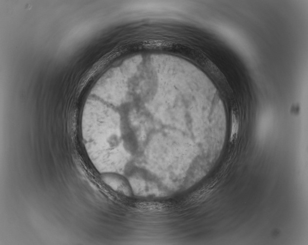 X0000115410435200912011344