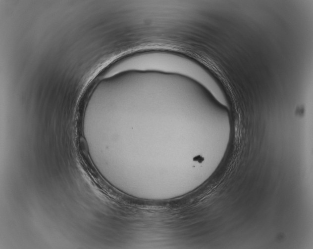 X0000115410436200912011344