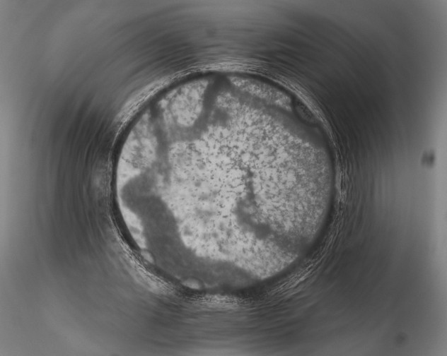 X0000115410437200912011344