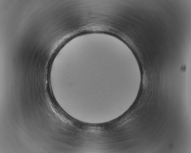 X0000115410438200912011344