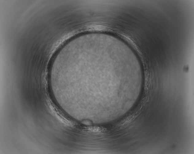 X0000115410439200912011344