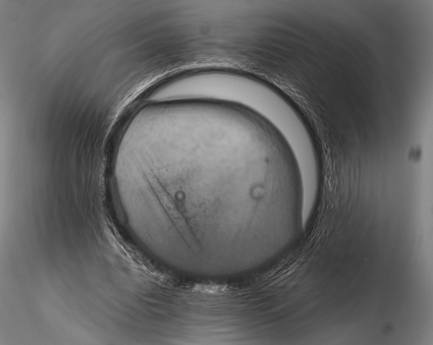 X0000115410440200912011344