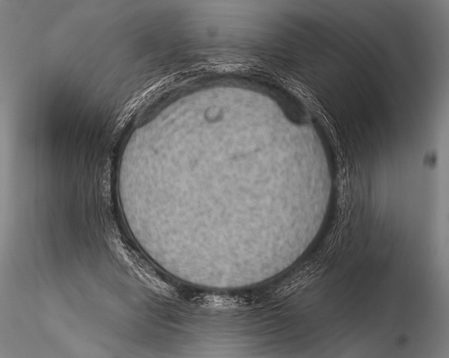 X0000115410442200912011344