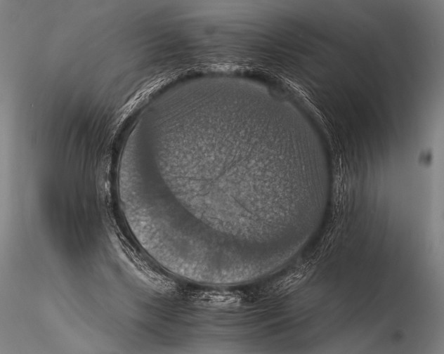 X0000115410443200912011344