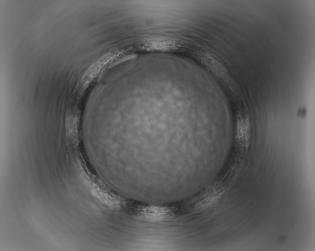 X0000115410444200912011344