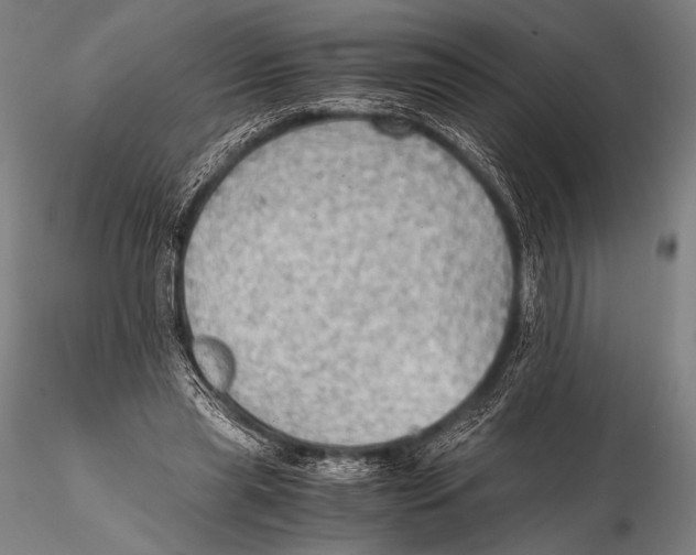 X0000115410445200912011344