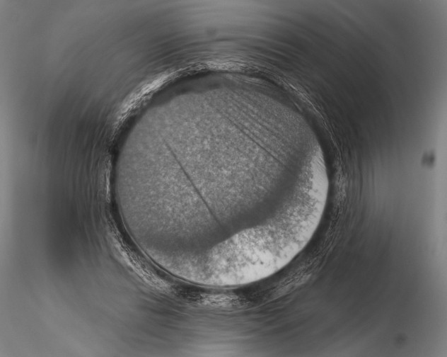 X0000115410446200912011344