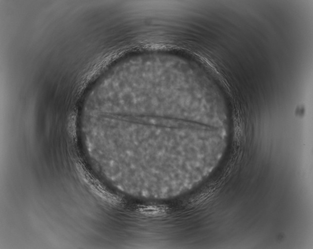 X0000115410447200912011344