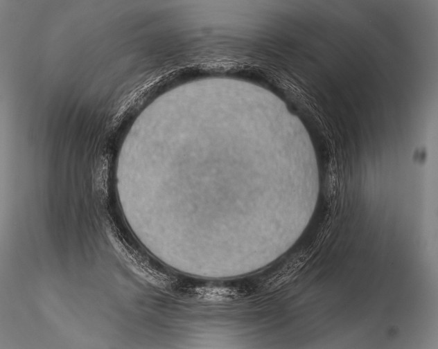 X0000115410448200912011344