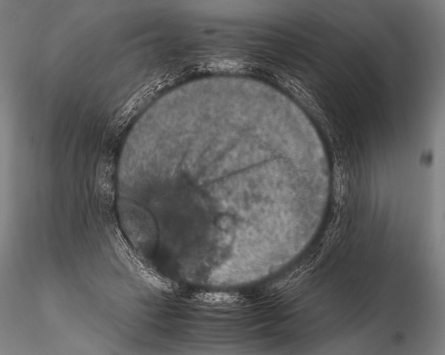 X0000115410449200912011344