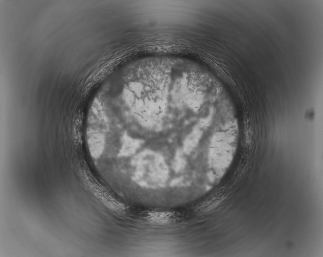 X0000115410450200912011344