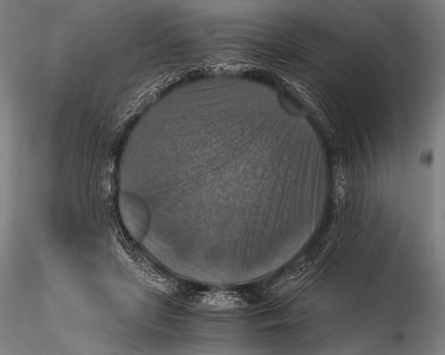 X0000115410451200912011344