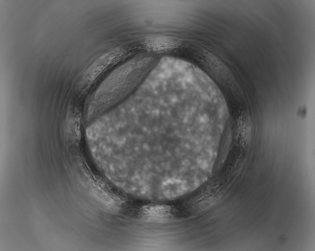 X0000115410452200912011344