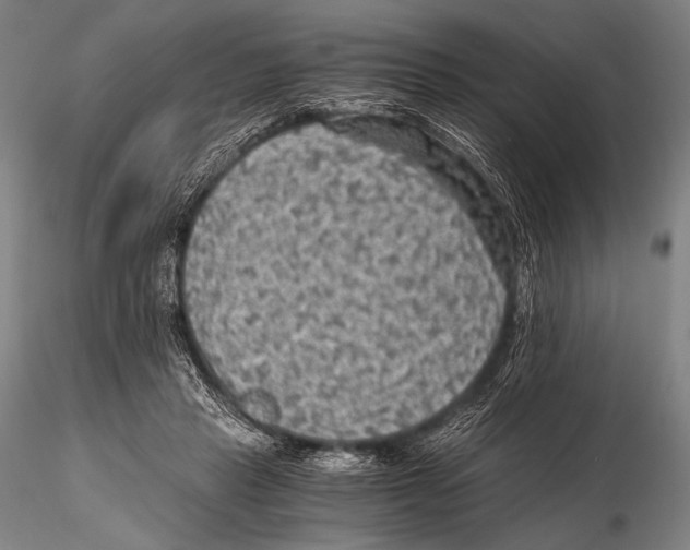 X0000115410453200912011344