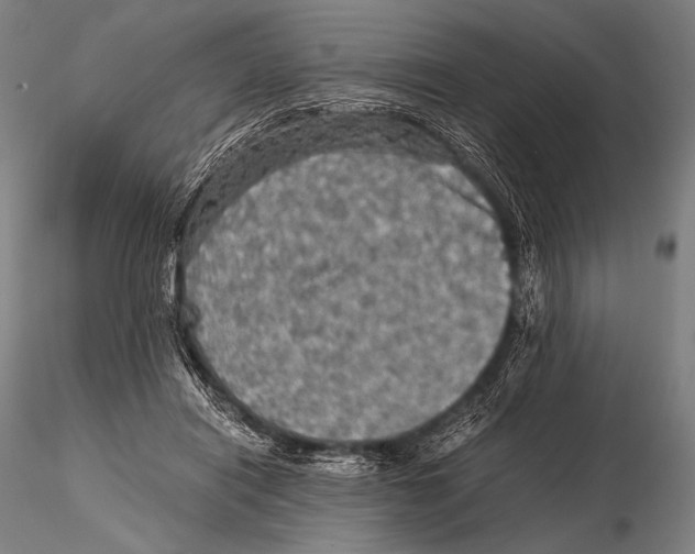 X0000115410454200912011344