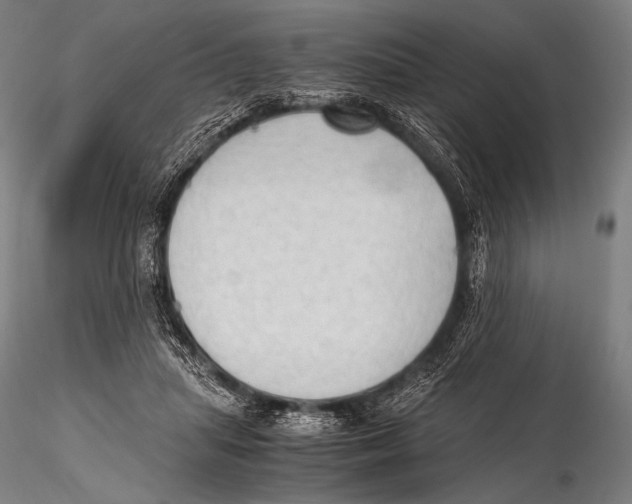 X0000115410455200912011344