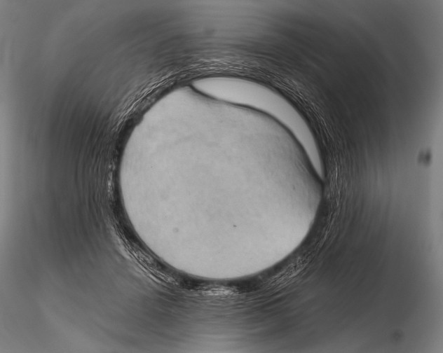 X0000115410456200912011344