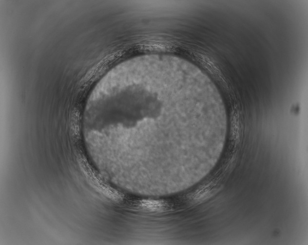 X0000115410457200912011344