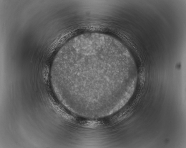 X0000115410458200912011344