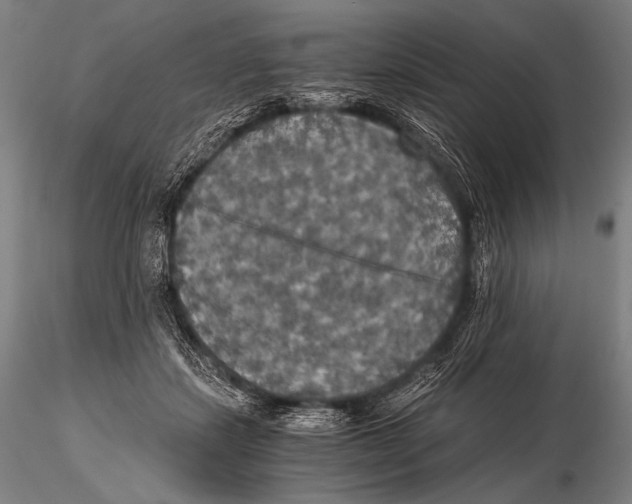 X0000115410459200912011344