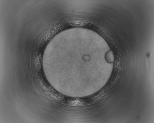 X0000115410460200912011344